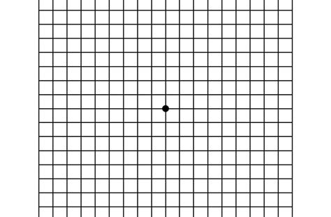 amsler grid all about vision.